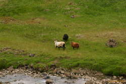 Racial unity conference, Grænadalur, 2007