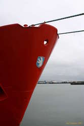 Who needs mermaids when you have polar bears?