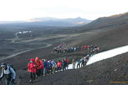 PART of the conga line