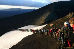 The conga line marches onwards (a little over half the group)