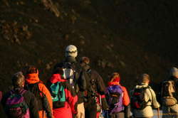 Wolfgang, head and shoulders above the rest