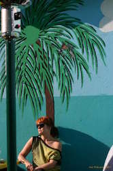 The stylish and the fashionable.