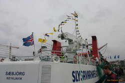 Boats decorated for Sjómannadagur