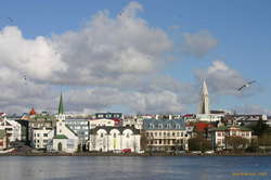 Birds and buildings across the pond