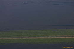 The revegetation of the sandur is a myth, it's just beside the road.