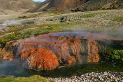 One of many hot upwellings