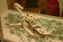 Window display at Meba