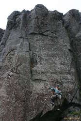 Sóley on Páskaliljur