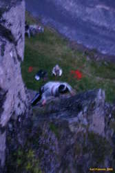 The lopapeysa trad monsters, clipping sport