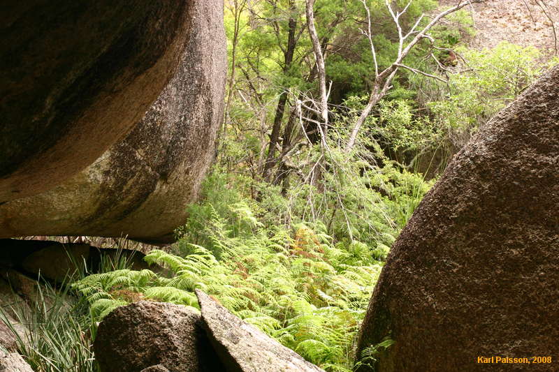 Canyon on South Bald Rock