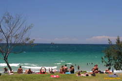 Some people prefer the grass