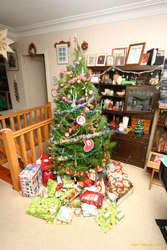 The christmas tree, just before the fun