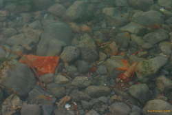 Scrap metal in the slips