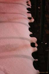 Melt patterns in snow on Ingolfstorg