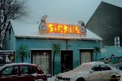 Painted palm trees can't prevent snow and ice
