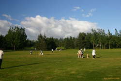 Home ground for the Icelandic National Cricket Team
