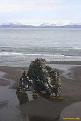 Hvítserker is a big blade of rock on the seashore