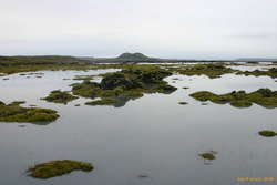 A moment of calm on some flooded lava field