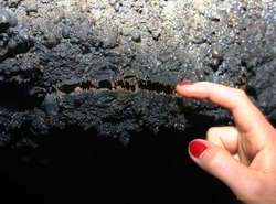 Dieke points out some teethy crystals