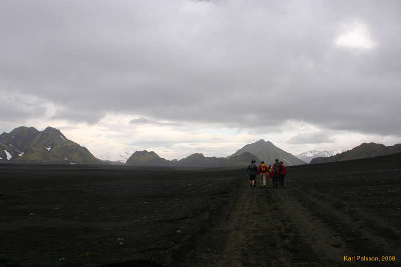 Roaming across the sands