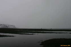 Our enemies on the far bank.  We WILL collect more than them!