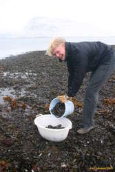 We _DID_ collect more than them