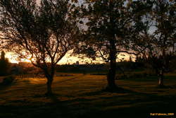 Late evening sunlight on Miklatún