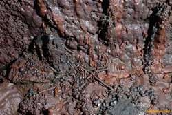 Lots of broken straws