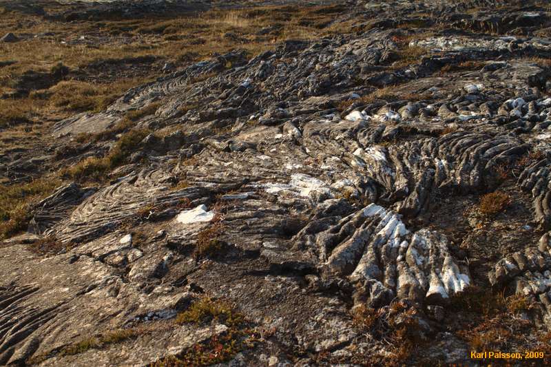 Pahoehoe lava near Helgafell