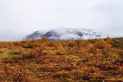 Hrafnabjörg looming over Þingvellir autumn