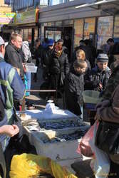 Fish market, sells one type of fish