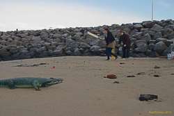 Hazards on the pitch