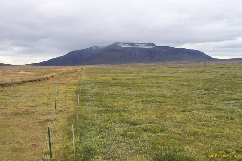 Bláfell, near Hvitárvatn