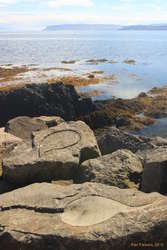 The spanish tears at Drangsnes