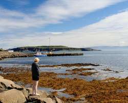 Ásta admires the outgoing tide