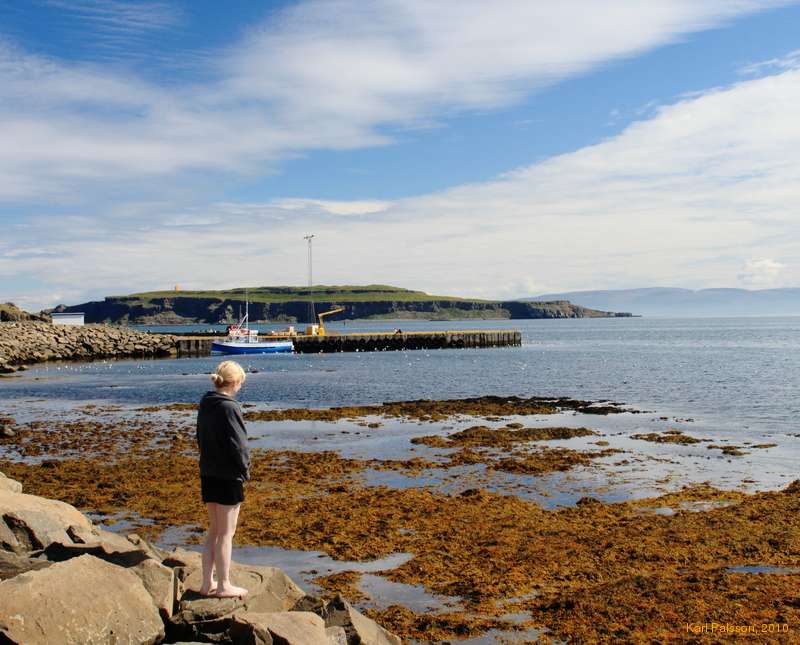 Ásta admires the outgoing tide