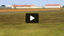Wind in the grass near Kirkjubæjarklaustur