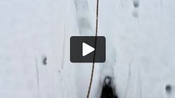 Plodding through the snow