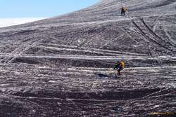 Every man, his dog, and their mountain bike. (The skis were a bad idea)