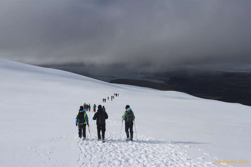 Strolling along in the sunshine