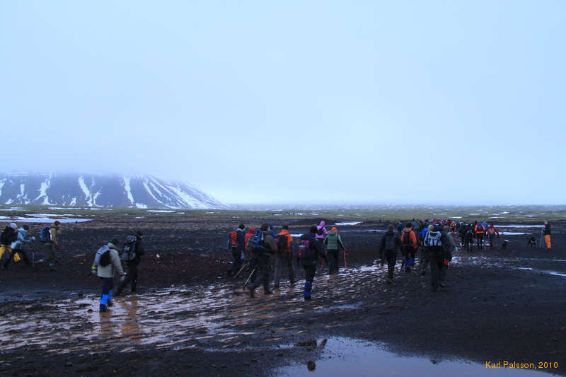 A muddy road to a wet goat