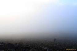 Rising up from the fog