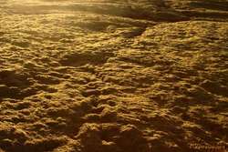 Sunset in a field of moss