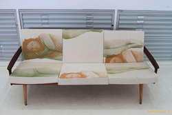 Interesting couch print