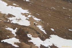 Where we're going, we don't need snow