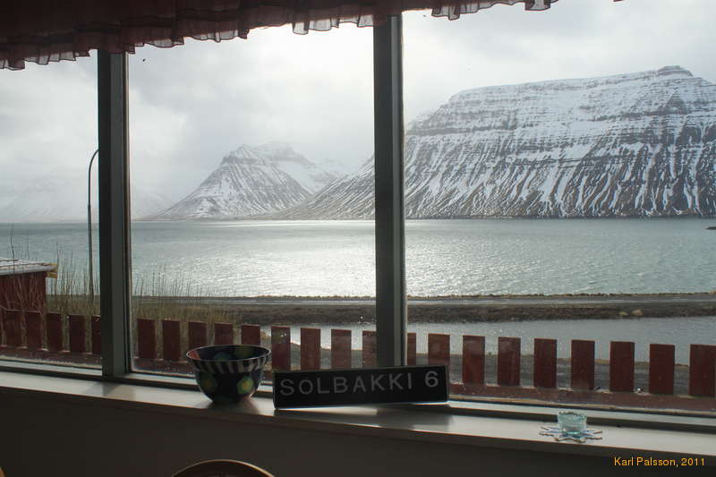 View from the living room window