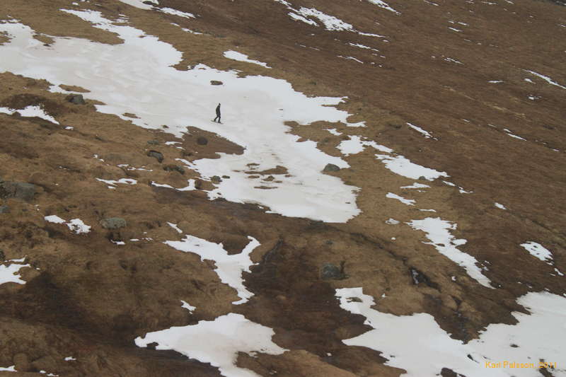 Really pretty desparate...