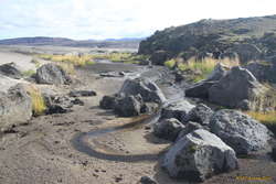 From little things, big things grow