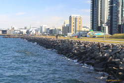 Mackeril fishing in town