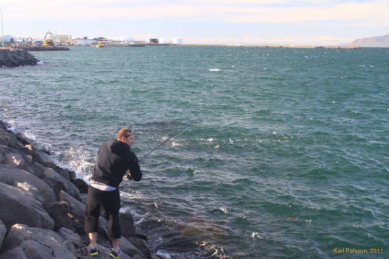 Casting into a school